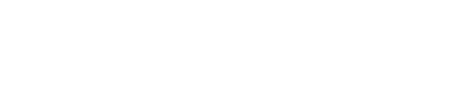 MindSett